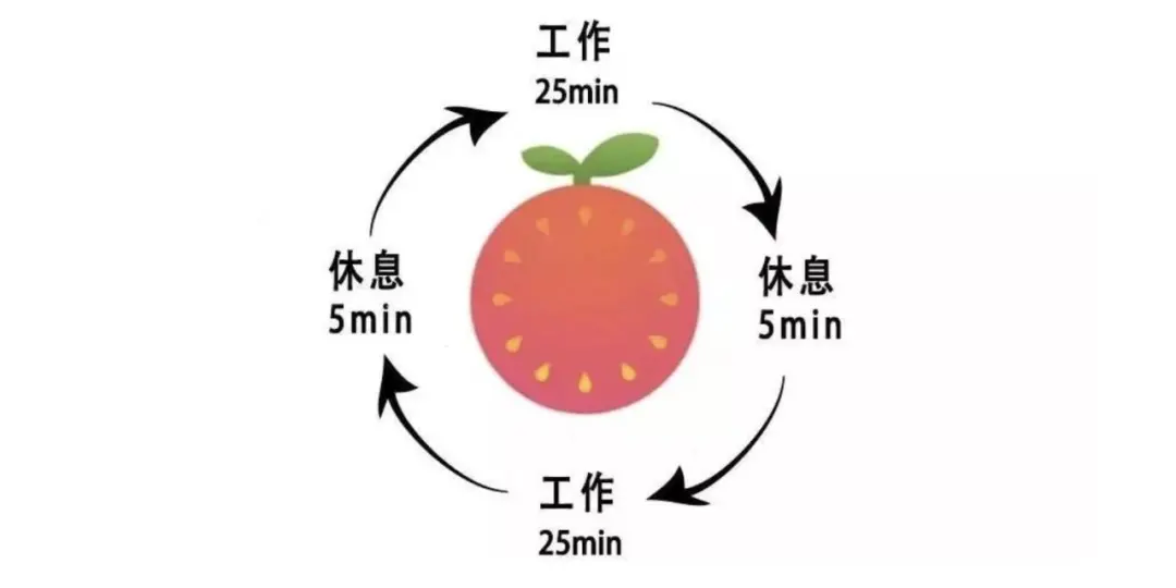 适应性网络信息对运营效率的影响