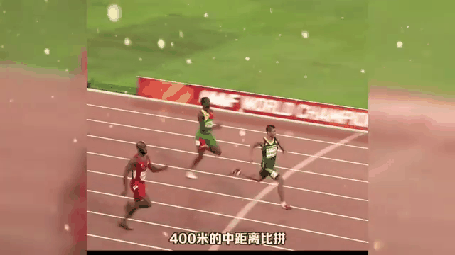 南非球员全面爆发，奋力前行